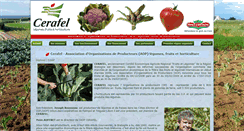 Desktop Screenshot of cerafel.com
