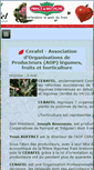 Mobile Screenshot of cerafel.com